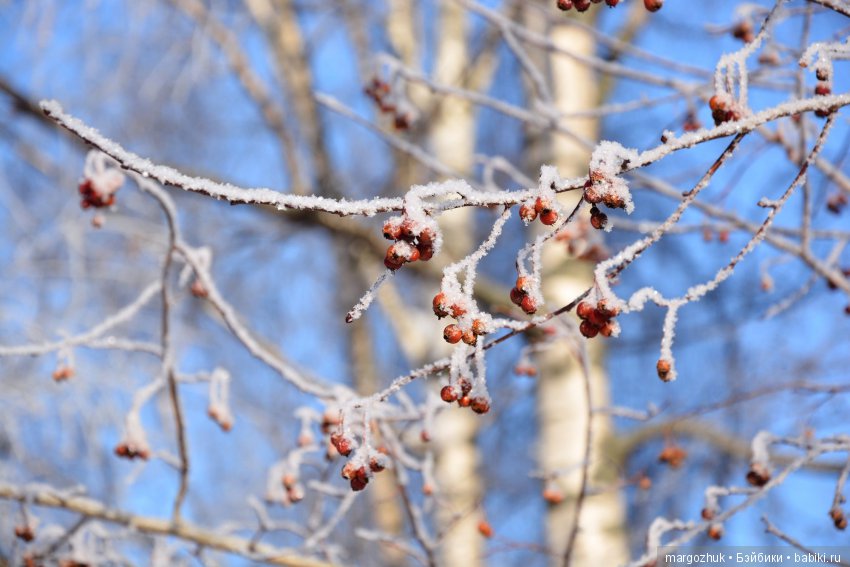 Чудесное проникновение в шкаф и в сердце