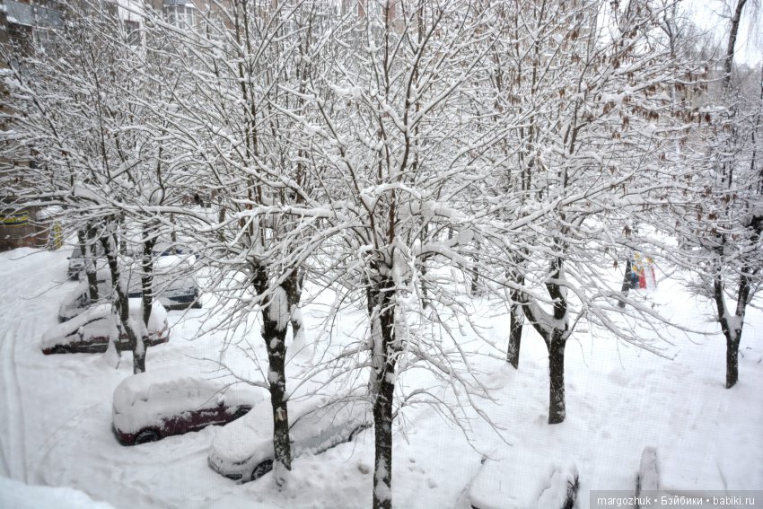 Чудесное проникновение в шкаф и в сердце (фото 9)