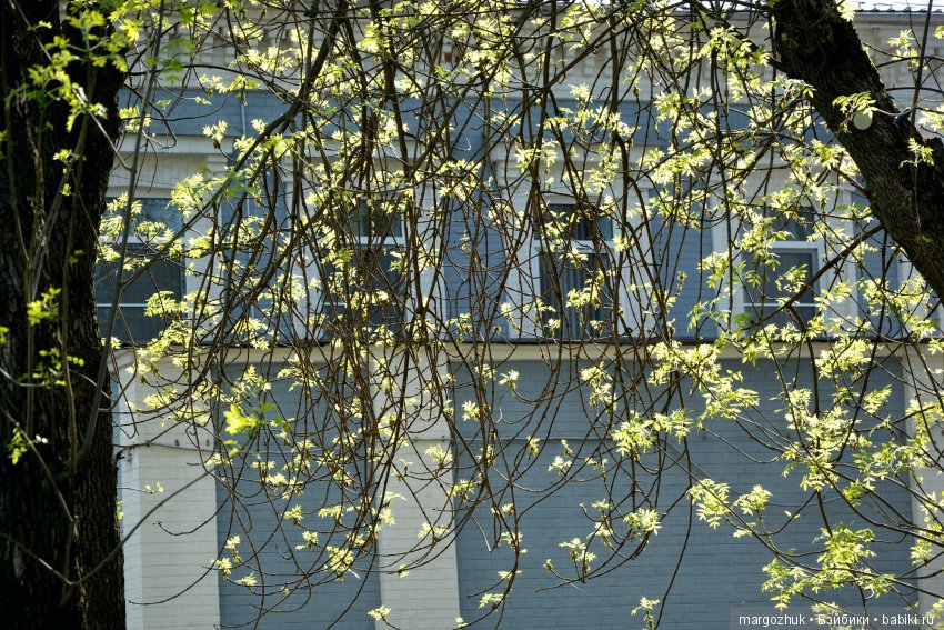 Весенние зарисовки с городской натуры