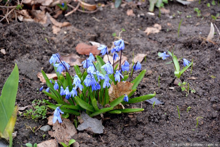 Весенние зарисовки с городской натуры (фото 9)
