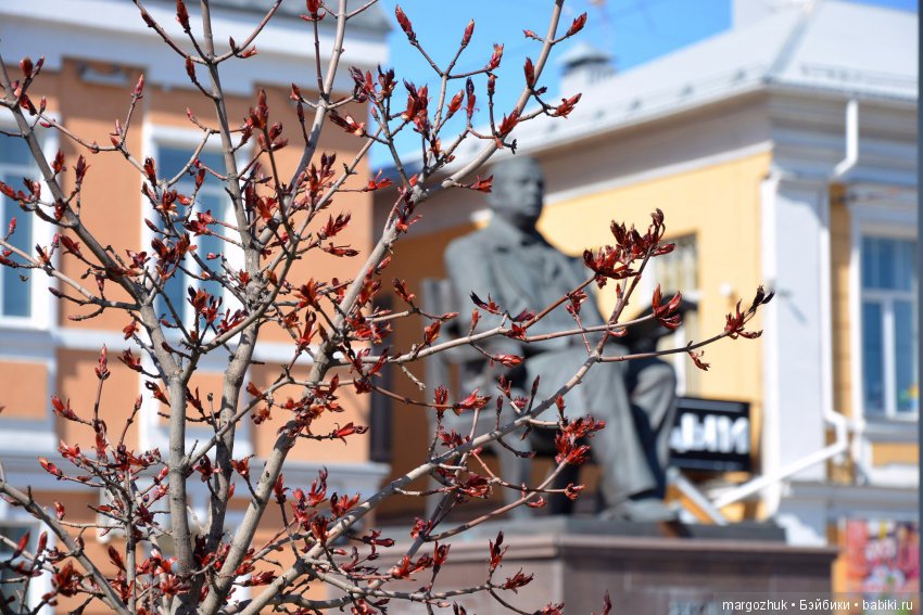 Весенние зарисовки с городской натуры (фото 7)