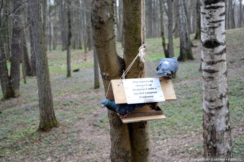 Весенние зарисовки с городской натуры
