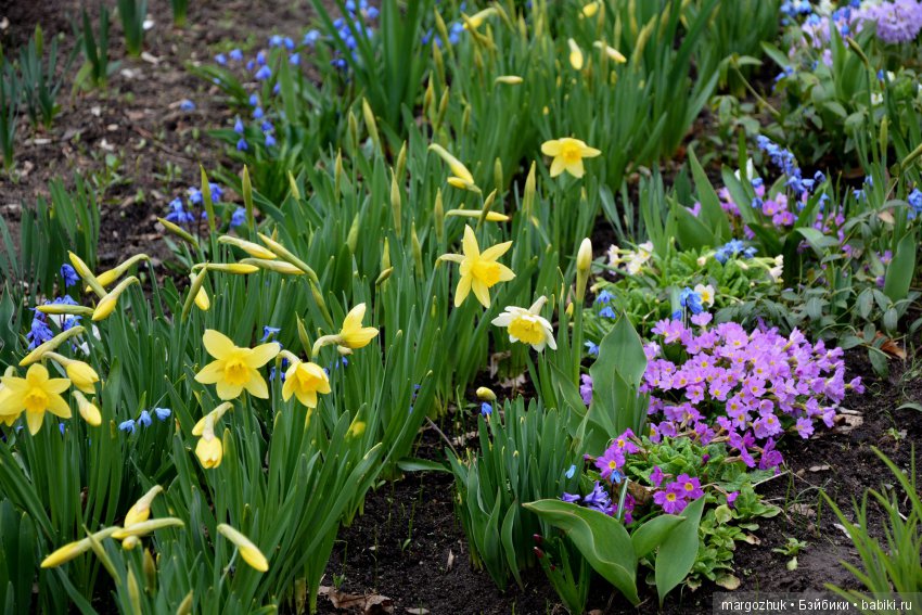 Весенние зарисовки с городской натуры (фото 10)