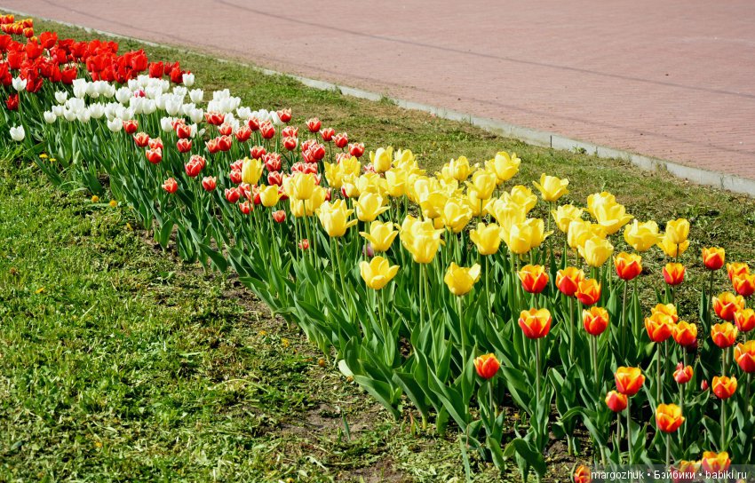 Весенние зарисовки с городской натуры