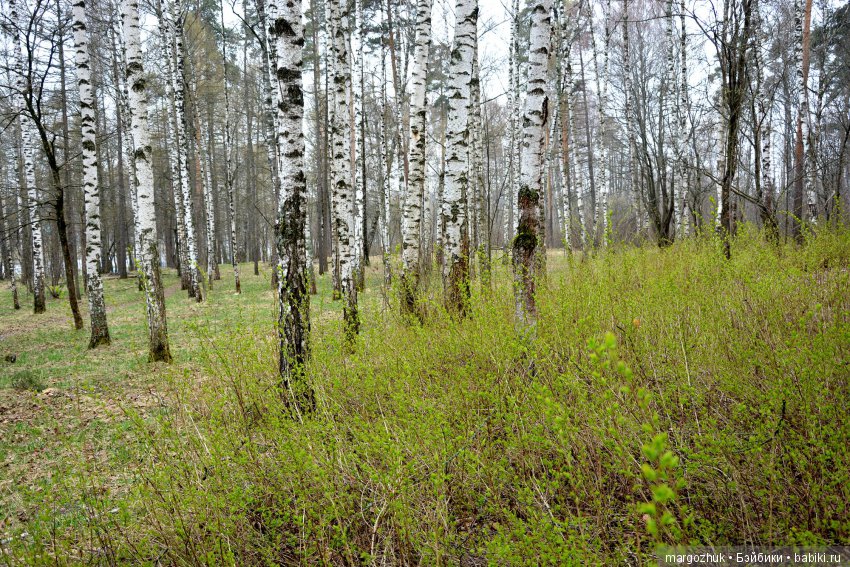 Весенние зарисовки с городской натуры