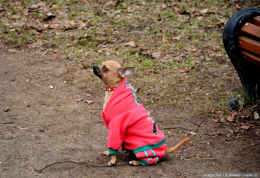 Весенние зарисовки с городской натуры