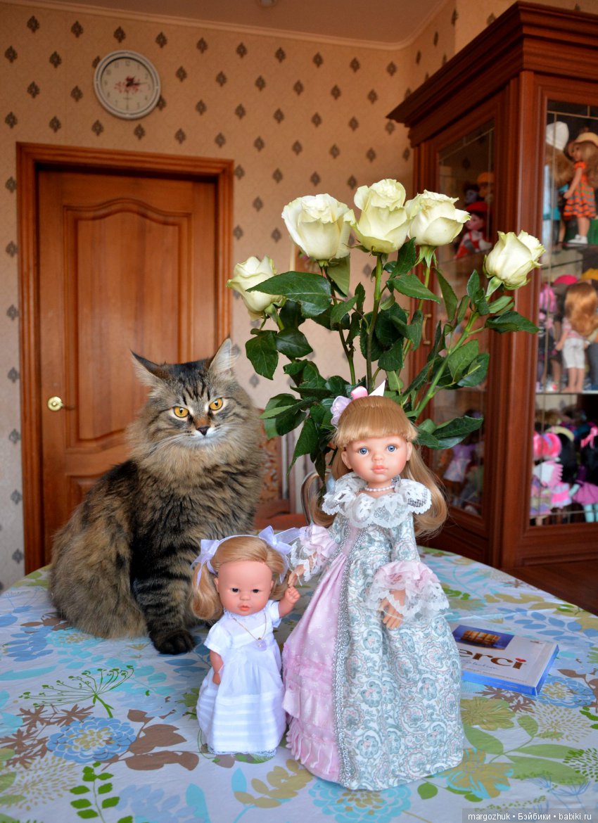 Из жизни кукол и котят