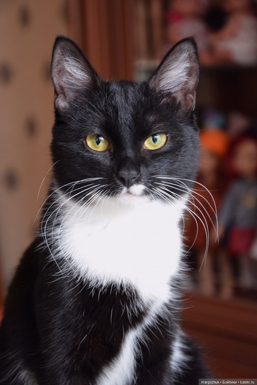 Делай, как мы: вяжем и красуемся (фото 5)