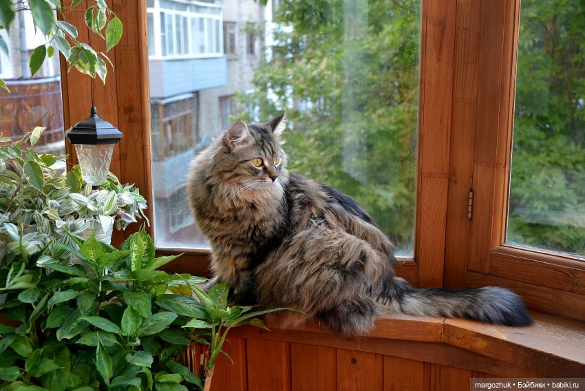 Вяжем спицами куклу паола рейна
