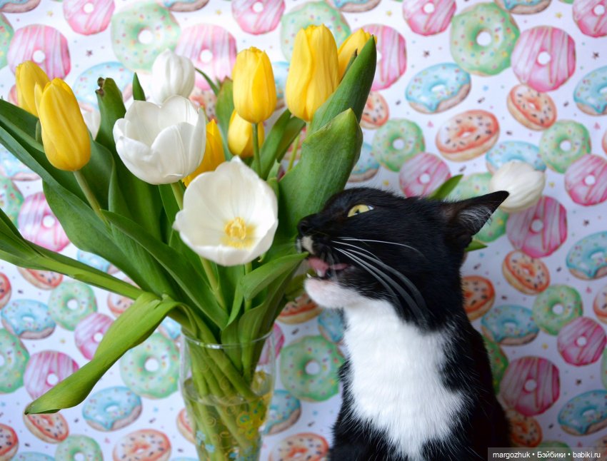 Настоящая рубиночка — Куклы Ruby Red (Руби Ред) Fashion Friends: Siblies (фото 10)