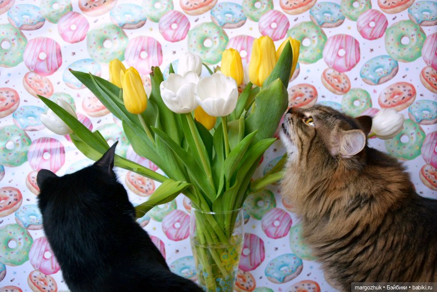 Настоящая рубиночка — Куклы Ruby Red (Руби Ред) Fashion Friends: Siblies (фото 8)