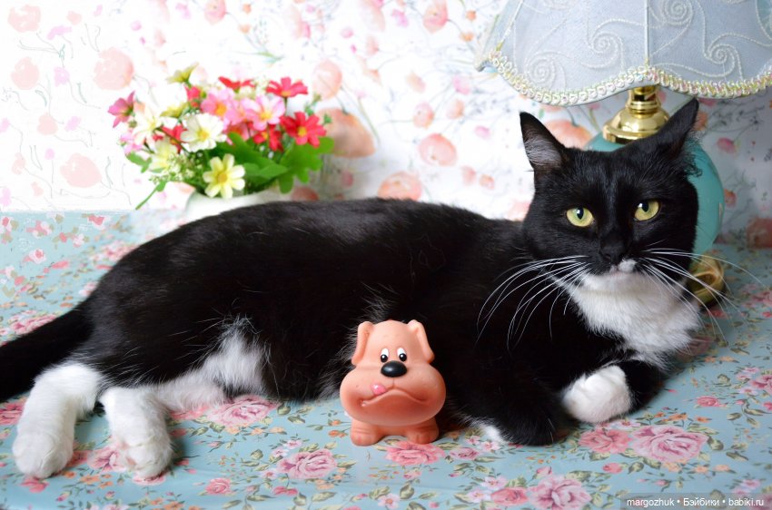 Они смотрят прямо в душу — Куклы Ruby Red (Руби Ред) Fashion Friends: Siblies