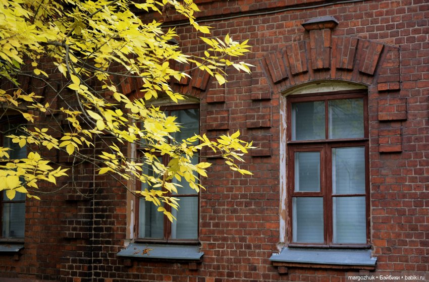 Каждая новая осень не похожа на предыдущую | Бэйбики Каждая новая осень не похожа на предыдущую