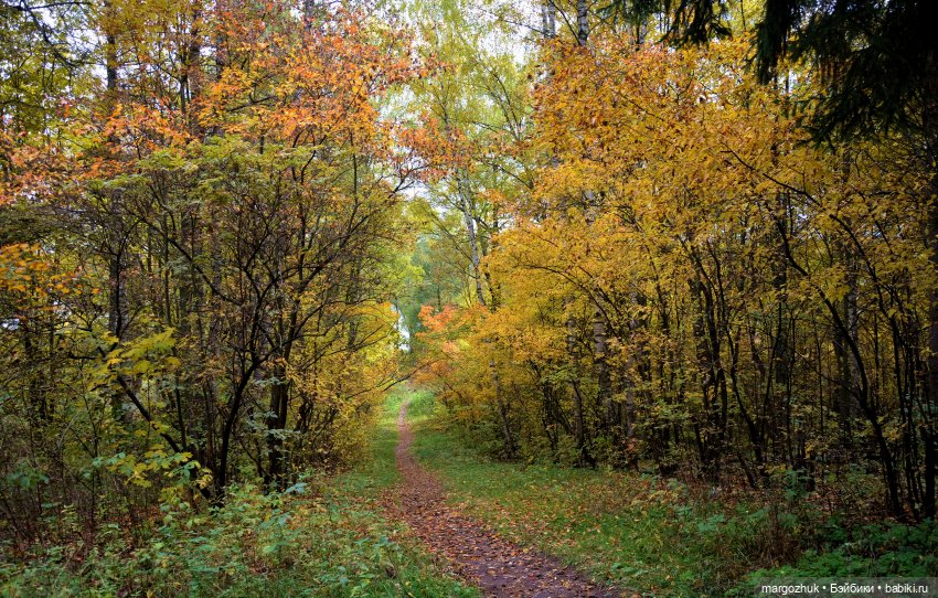 Каждая новая осень не похожа на предыдущую | Бэйбики Каждая новая осень не похожа на предыдущую