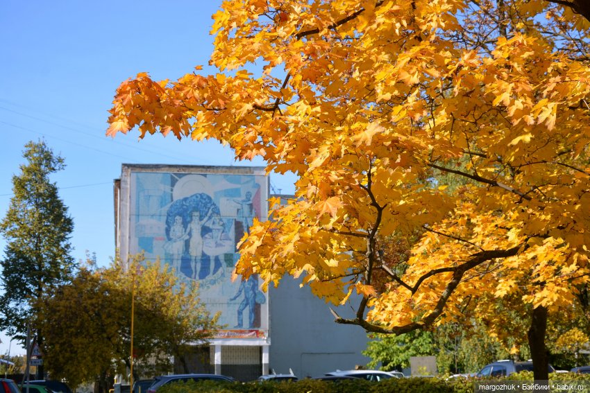 Каждая новая осень не похожа на предыдущую | Бэйбики Каждая новая осень не похожа на предыдущую