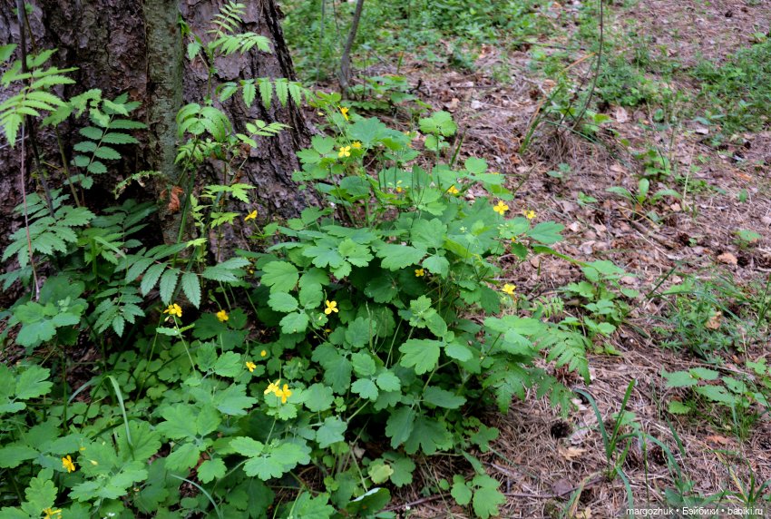 Вот оно какое, наше лето — Испанские куклы (разное): Vestida de Azul (фото 3)