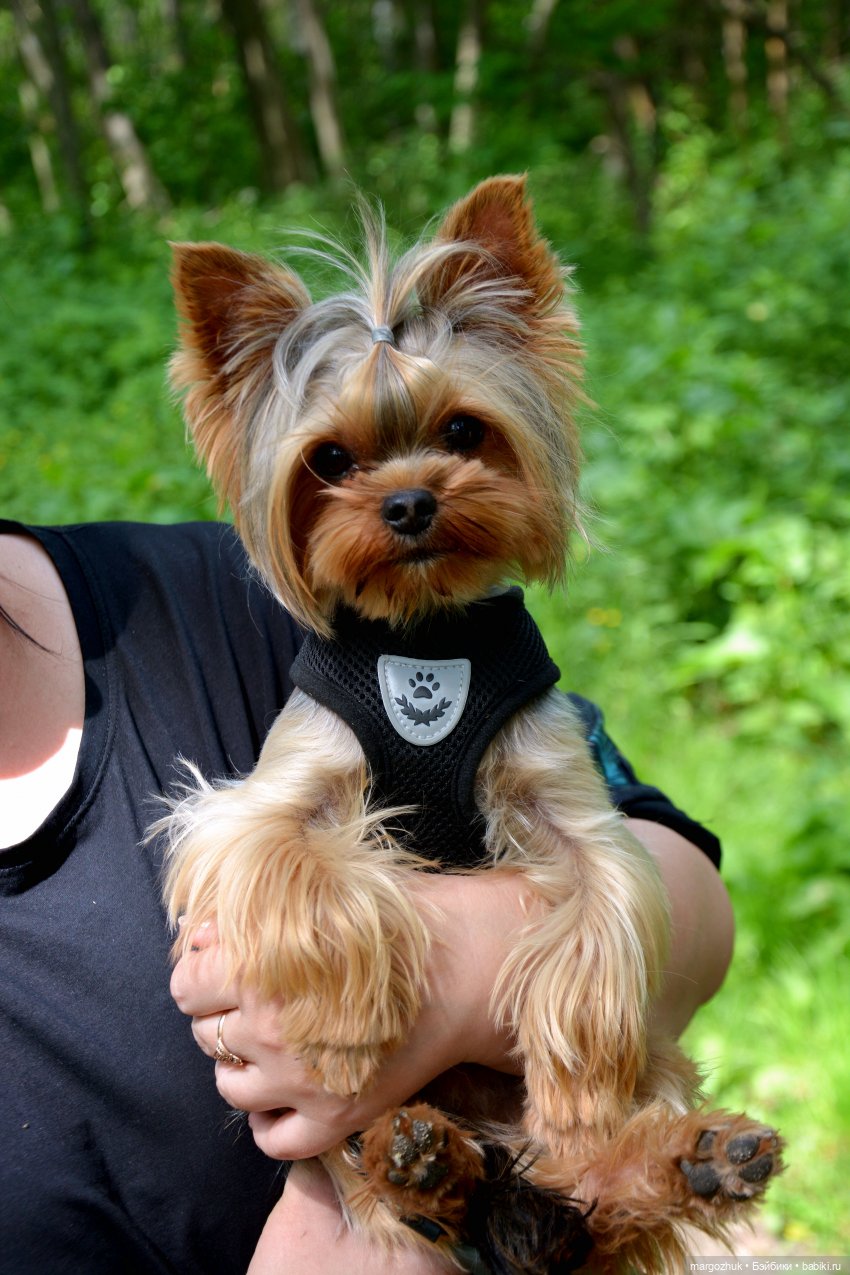 Вот оно какое, наше лето — Испанские куклы (разное): Vestida de Azul