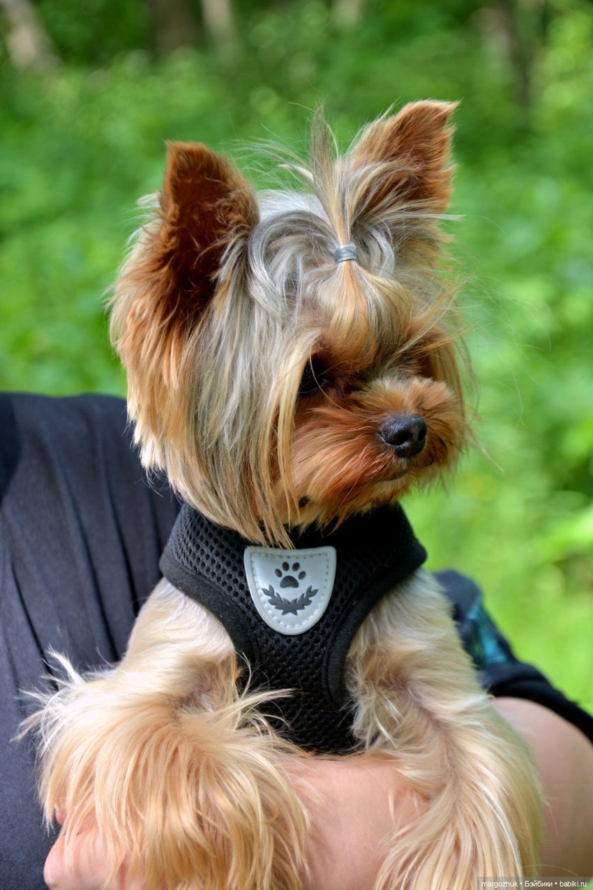 Вот оно какое, наше лето — Испанские куклы (разное): Vestida de Azul