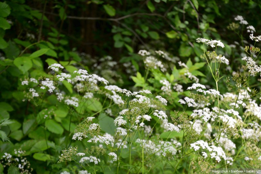 Вот оно какое, наше лето — Испанские куклы (разное): Vestida de Azul (фото 9)