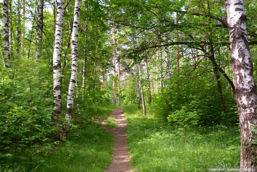 Вот оно какое, наше лето — Испанские куклы (разное): Vestida de Azul
