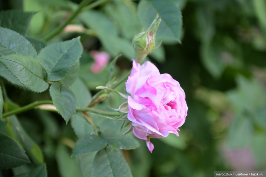 Маленькое лето — Испанские куклы (разное): Vestida de Azul