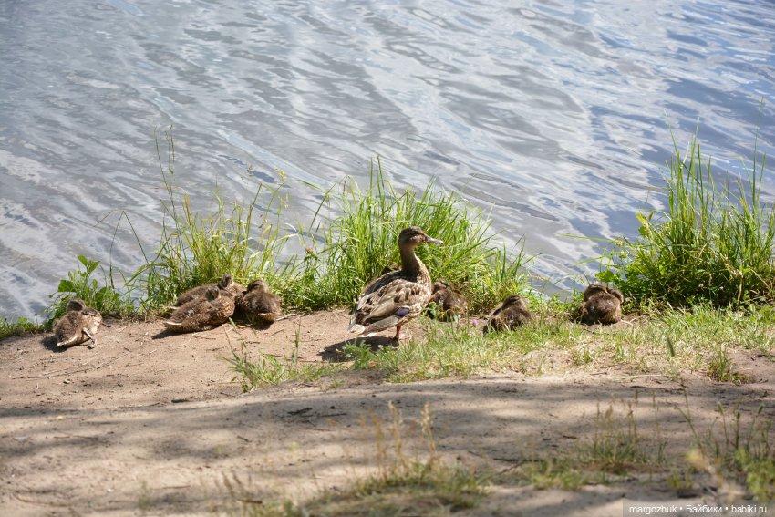 Маленькое лето — Испанские куклы (разное): Vestida de Azul (фото 6)