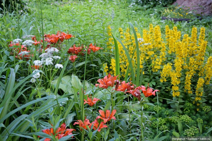Маленькое лето — Испанские куклы (разное): Vestida de Azul