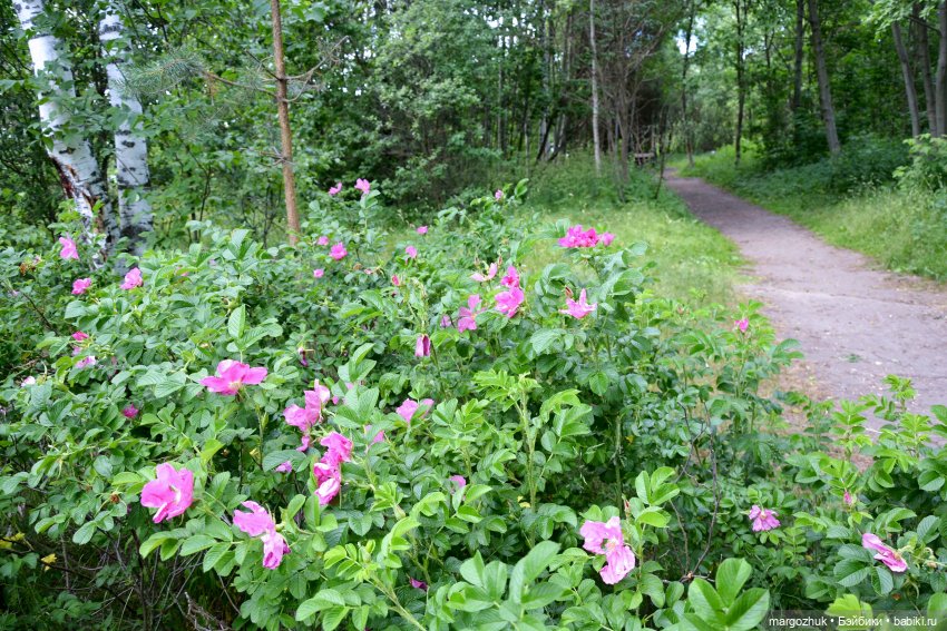 Маленькое лето — Испанские куклы (разное): Vestida de Azul