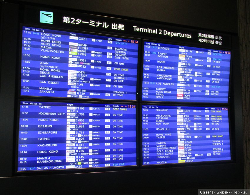 Мы летим в Австралию без лишних слов – там сейчас как раз в разгаре… лето