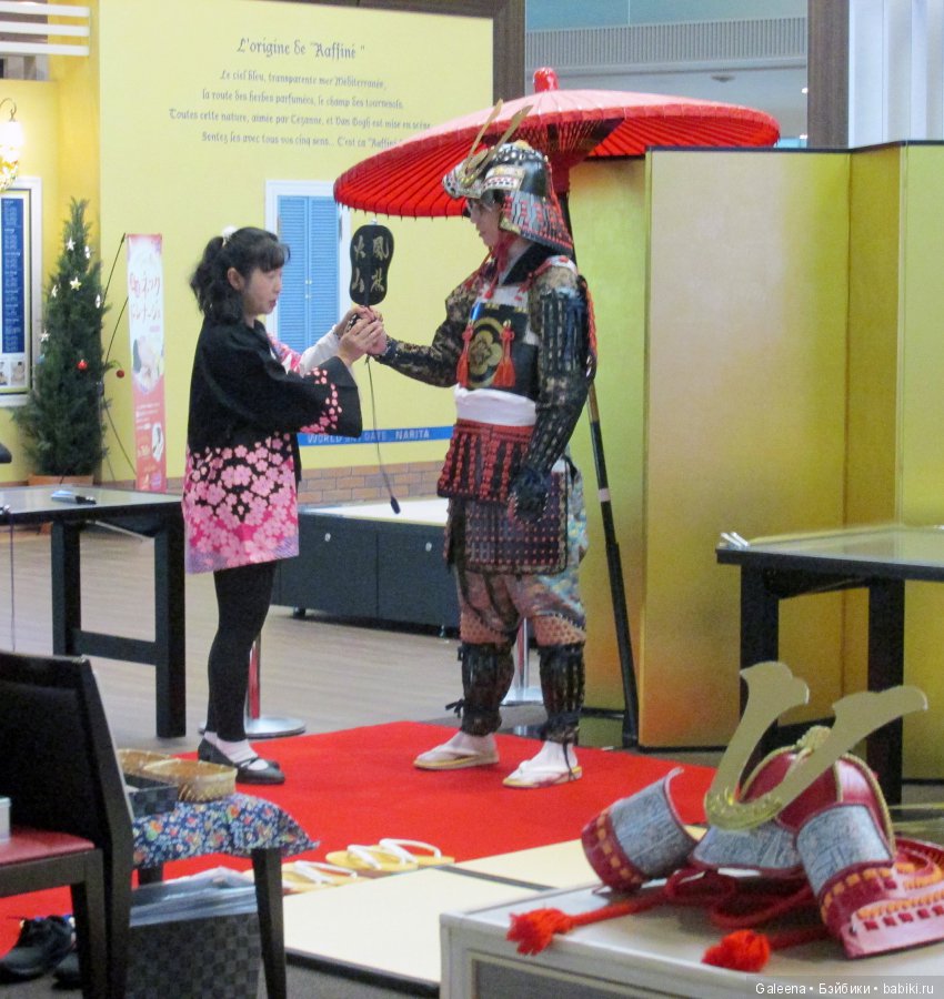 Мы летим в Австралию без лишних слов – там сейчас как раз в разгаре… лето (фото 9)