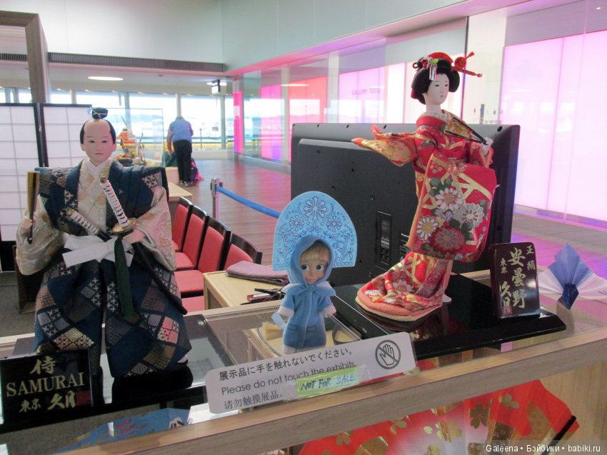 Мы летим в Австралию без лишних слов – там сейчас как раз в разгаре… лето (фото 8)