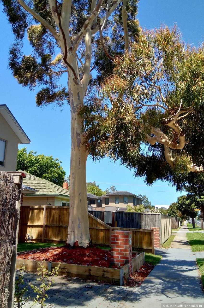 Сити-Луп и ёлки — Куклы Маша и Медведь (Simba): Маша в кармашке