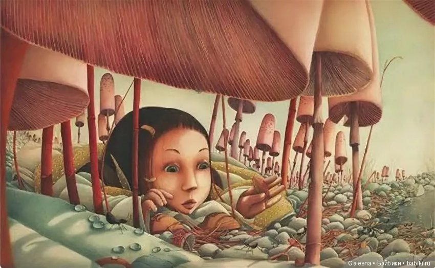 Австралия в январе: Рождественские витрины у «Майера»