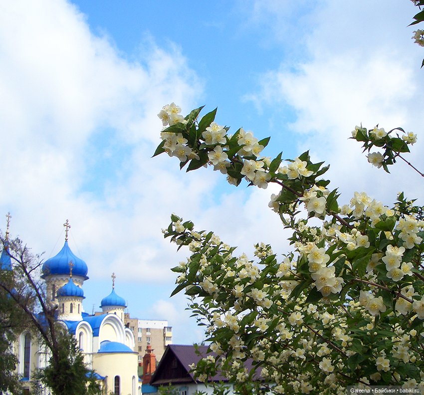 Нюся открывает купальный сезон