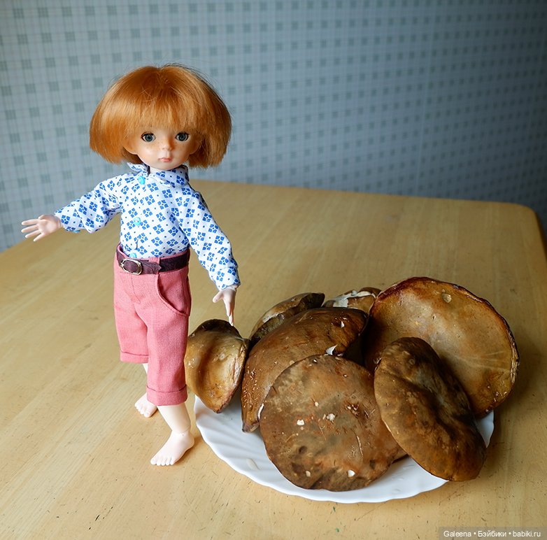 По грибы — Игровые куклы разных производителей (Разное): редкие бренды