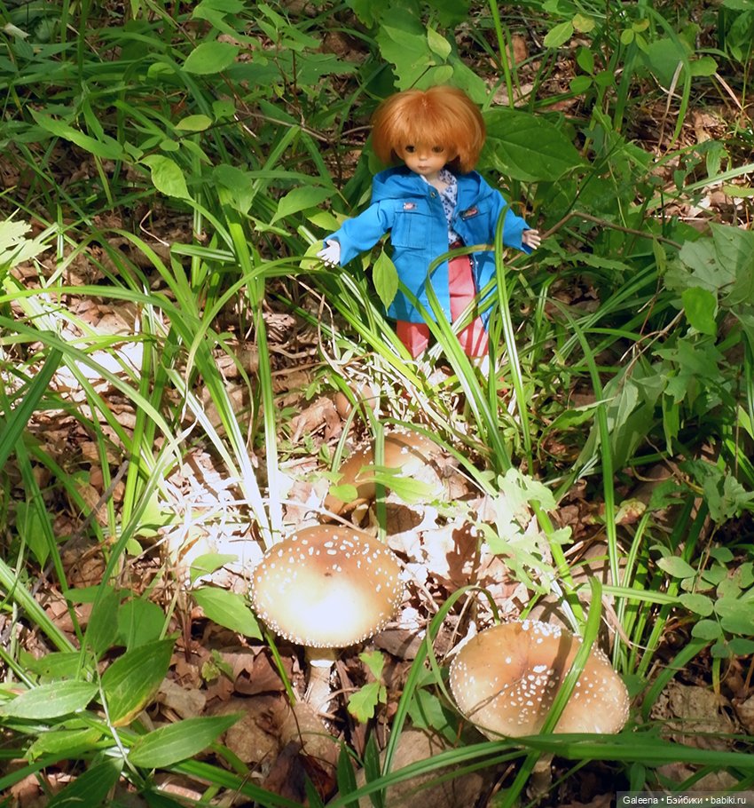 По грибы — Игровые куклы разных производителей (Разное): редкие бренды (фото 6)