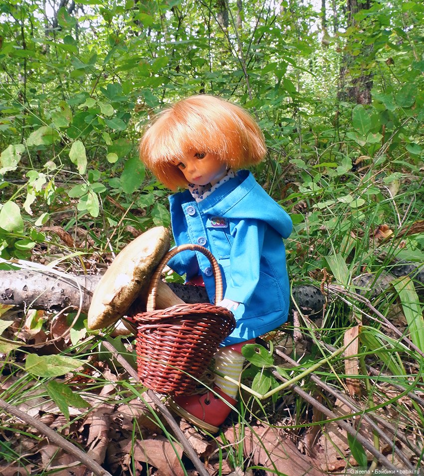 По грибы — Игровые куклы разных производителей (Разное): редкие бренды