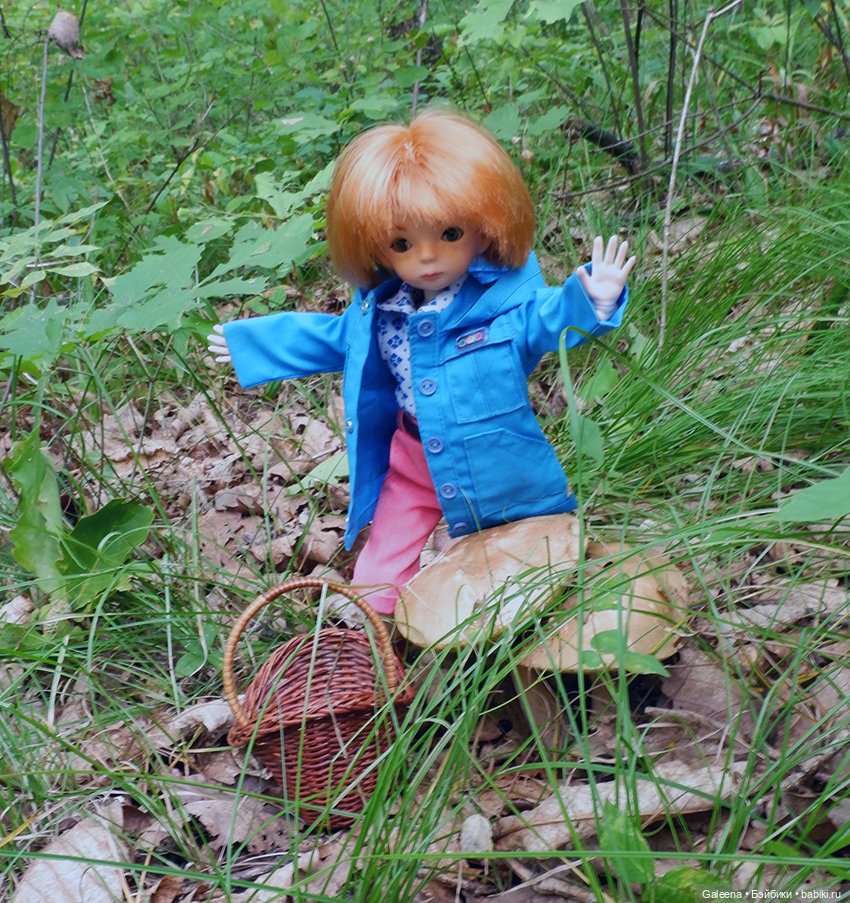 По грибы — Игровые куклы разных производителей (Разное): редкие бренды