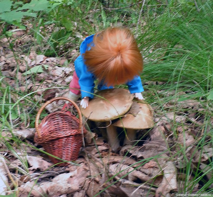 По грибы — Игровые куклы разных производителей (Разное): редкие бренды