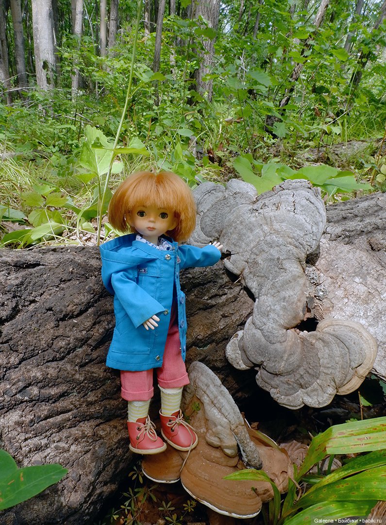 По грибы — Игровые куклы разных производителей (Разное): редкие бренды (фото 5)