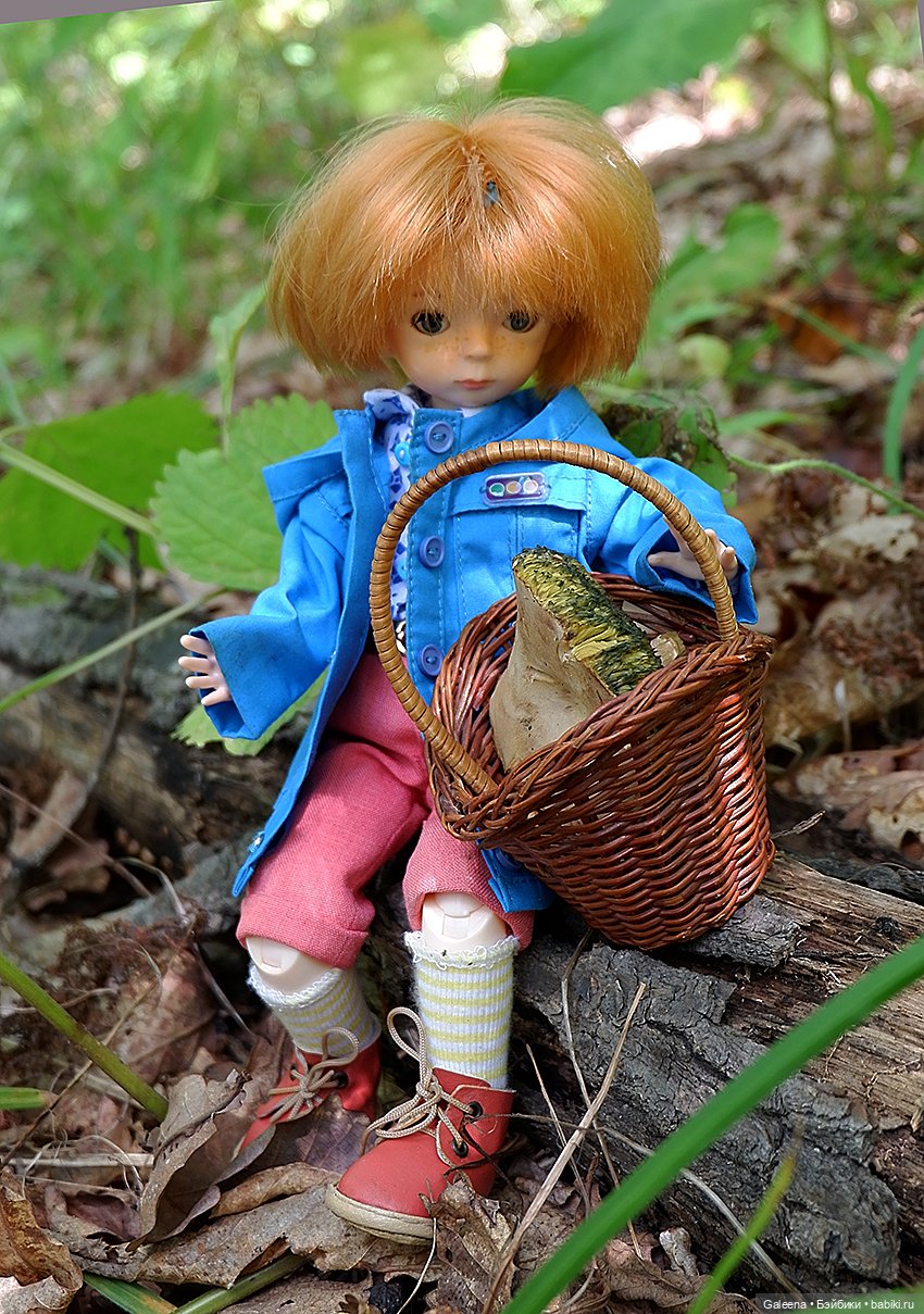 По грибы — Игровые куклы разных производителей (Разное): редкие бренды
