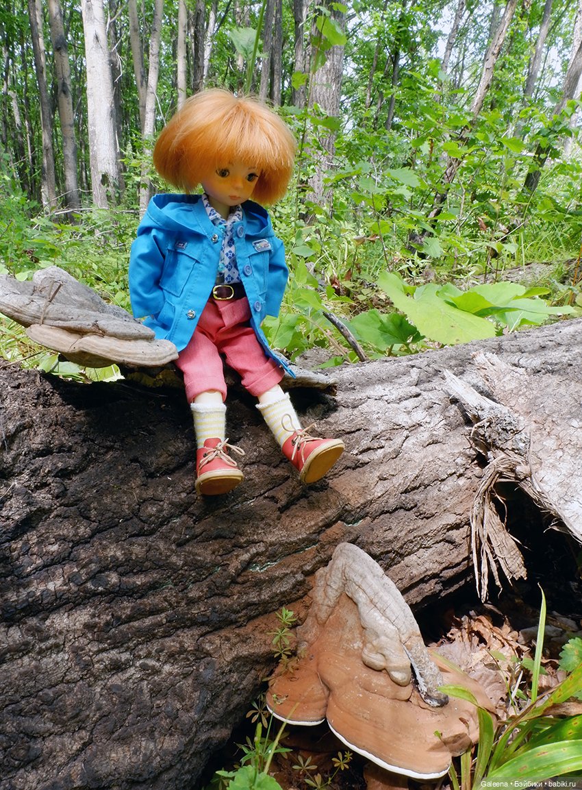 По грибы — Игровые куклы разных производителей (Разное): редкие бренды (фото 4)