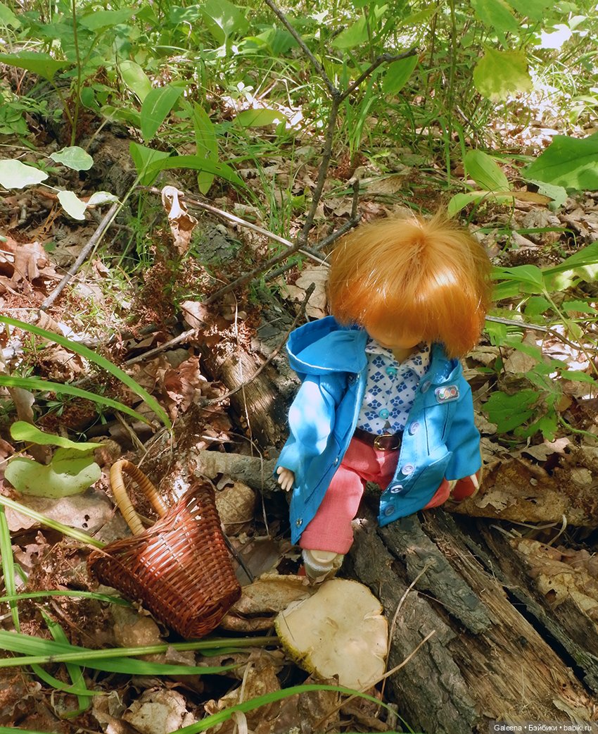 По грибы — Игровые куклы разных производителей (Разное): редкие бренды