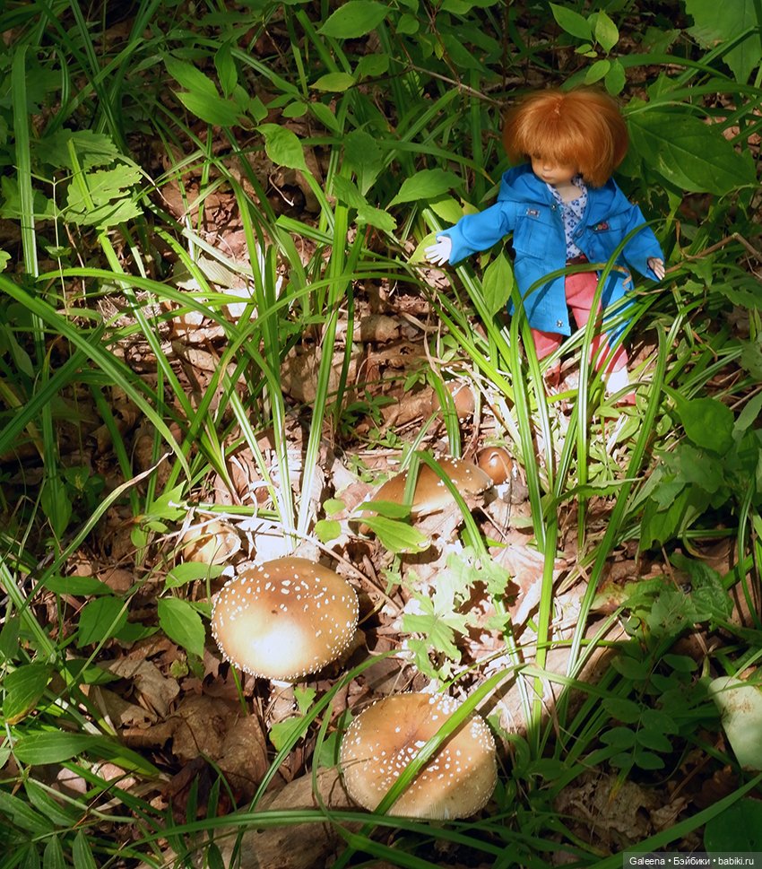 По грибы — Игровые куклы разных производителей (Разное): редкие бренды (фото 7)