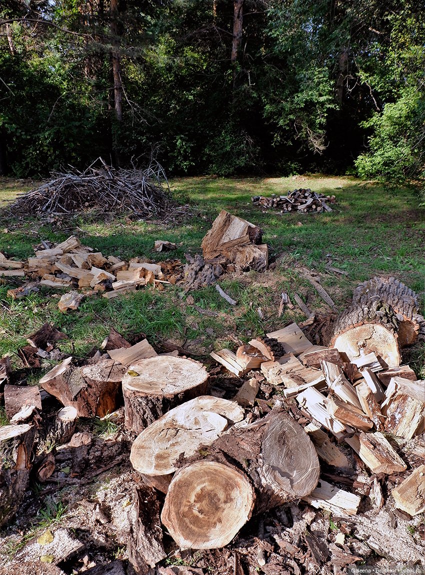 По грибы — Игровые куклы разных производителей (Разное): редкие бренды