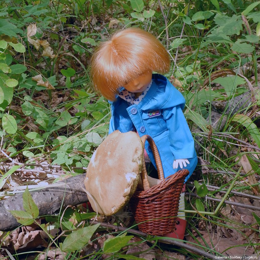 По грибы — Игровые куклы разных производителей (Разное): редкие бренды