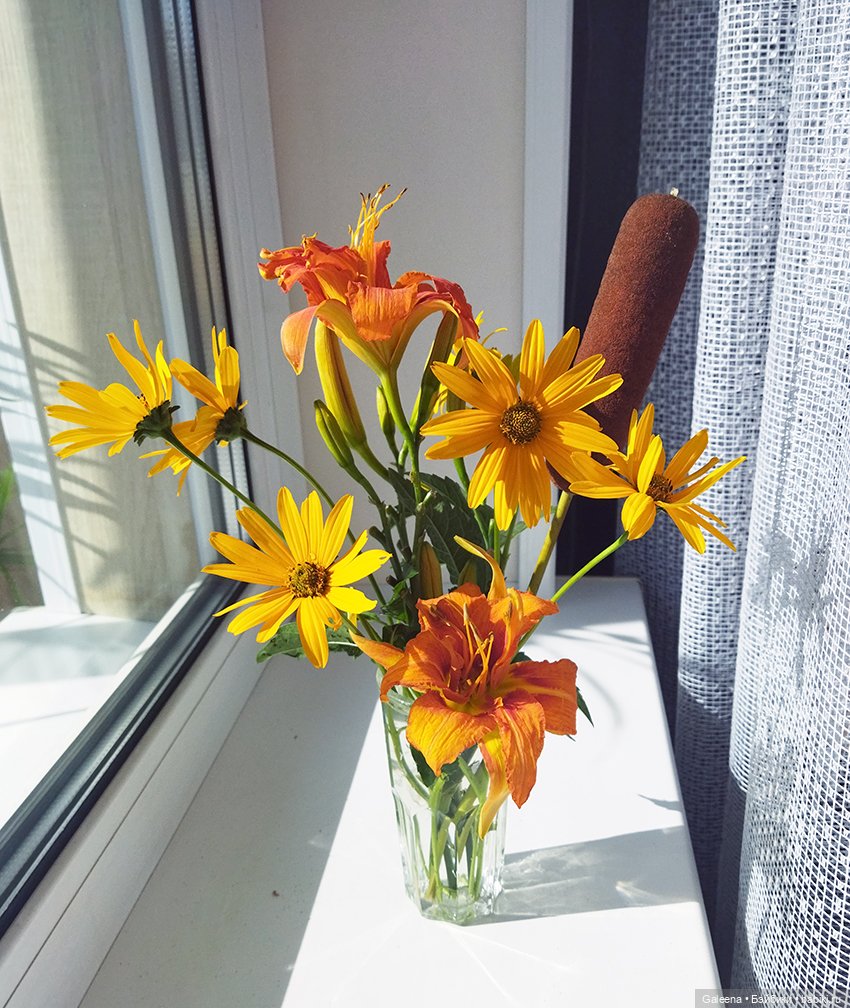 По грибы — Игровые куклы разных производителей (Разное): редкие бренды