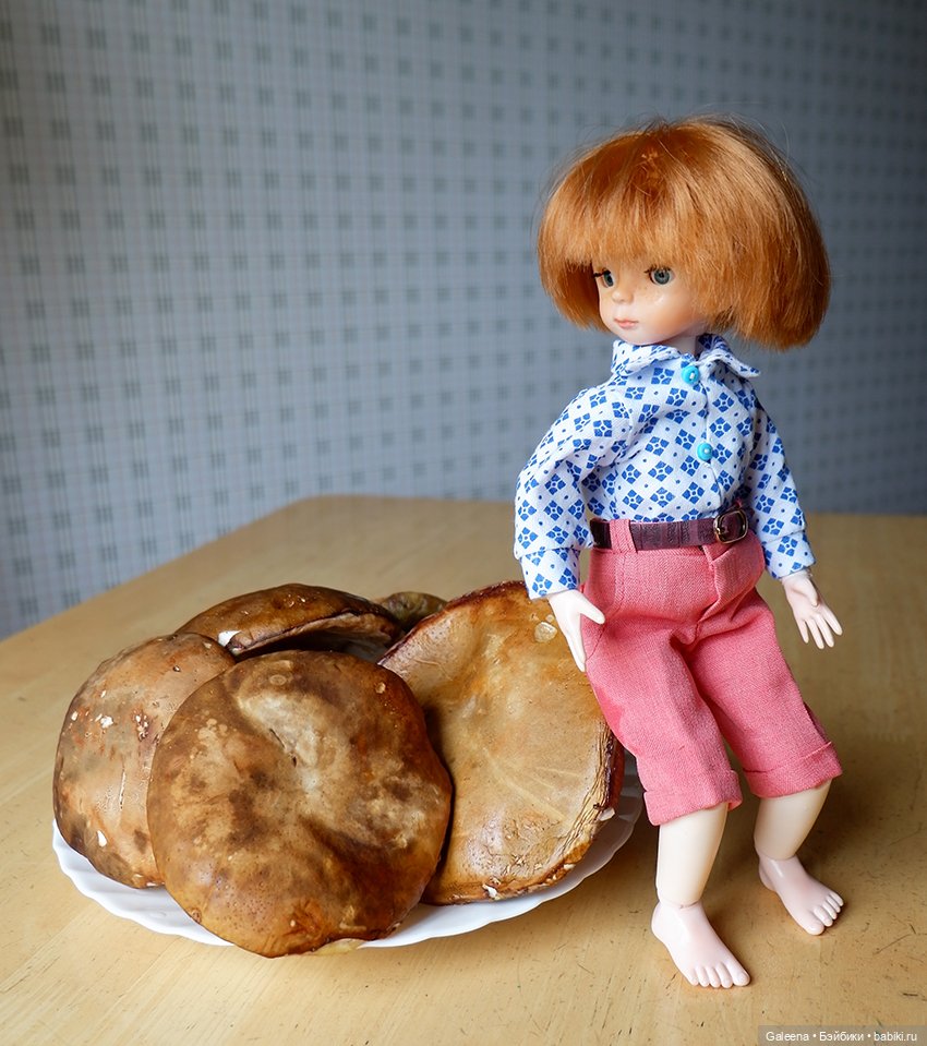 По грибы — Игровые куклы разных производителей (Разное): редкие бренды