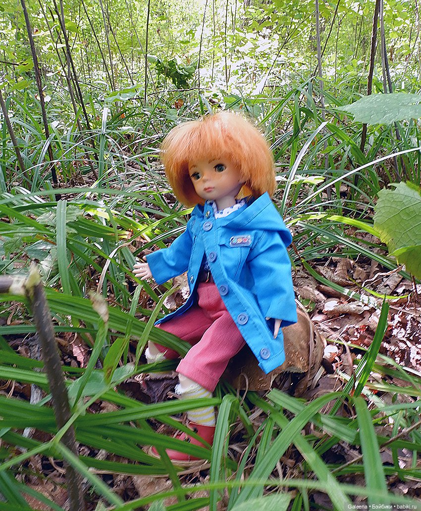 По грибы — Игровые куклы разных производителей (Разное): редкие бренды (фото 8)