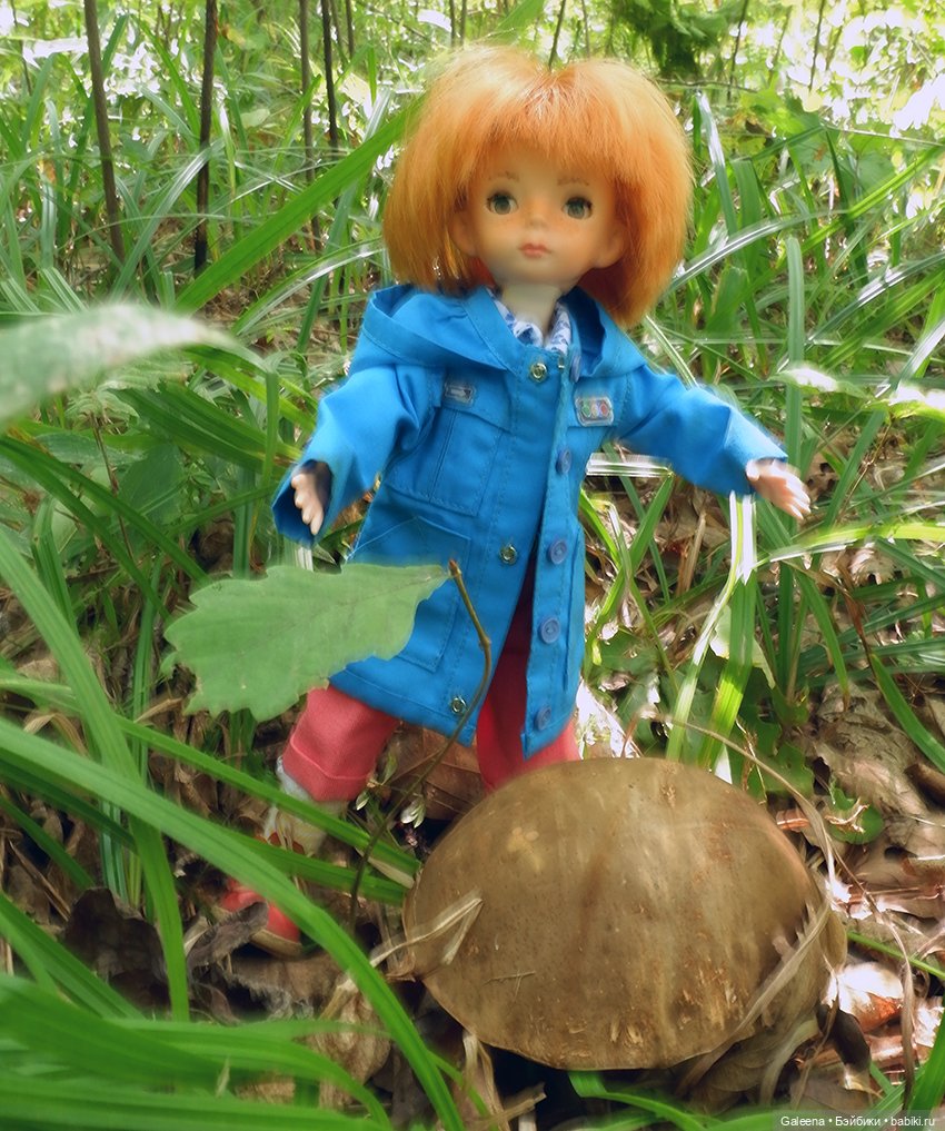 По грибы — Игровые куклы разных производителей (Разное): редкие бренды (фото 10)
